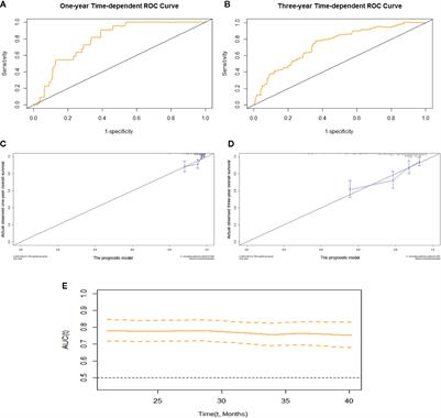 Prognostic Prediction Models Based on Clinicopathological Indices in Patients With Resectable Lung Cancer